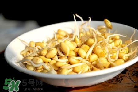 冬天可以發(fā)豆芽嗎？冬天怎樣發(fā)黃豆芽？