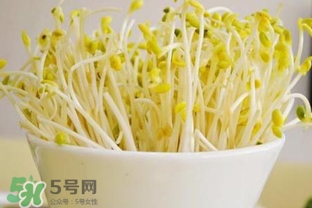 冬天可以發(fā)豆芽嗎？冬天怎樣發(fā)黃豆芽？