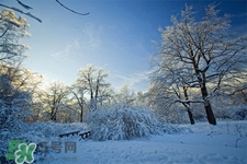 冬天怕冷吃什么好？冬天怕冷吃什么食物？