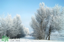 冬天怕冷吃什么好？冬天怕冷吃什么食物？