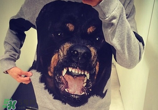 紀(jì)梵希衛(wèi)衣多少錢？紀(jì)梵希衛(wèi)衣尺碼