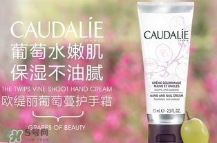 歐緹麗護手霜真假 歐緹麗葡萄籽護手霜真假鑒別