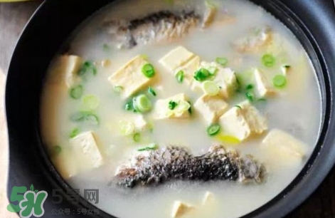 鯽魚豆腐湯的營養(yǎng)價(jià)值 鯽魚豆腐湯的功效與作用及做法