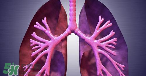 支氣管炎吃什么藥有效?支氣管炎如何根治 支氣管炎吃什么藥有效?支氣管炎如何根治