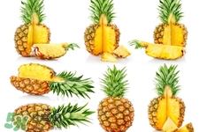 春節(jié)吃什么水果好？春節(jié)吃什么水果解油膩？