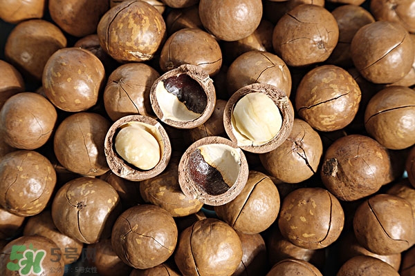 夏威夷果糖尿病能吃嗎?糖尿病人吃夏威夷果好嗎? 夏威夷果糖尿病能吃嗎?糖尿病人吃夏威夷果好嗎?