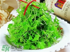 香菜根能吃嗎?香菜根的功效與作用 香菜根能吃嗎?香菜根的功效與作用