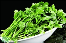 香菜根能吃嗎?香菜根的功效與作用 香菜根能吃嗎?香菜根的功效與作用