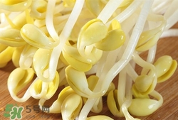 產(chǎn)婦可以吃黃豆芽嗎?產(chǎn)婦吃黃豆芽下奶嗎 產(chǎn)婦可以吃黃豆芽嗎?產(chǎn)婦吃黃豆芽下奶嗎