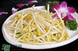 產(chǎn)婦可以吃黃豆芽嗎?產(chǎn)婦吃黃豆芽下奶嗎 產(chǎn)婦可以吃黃豆芽嗎?產(chǎn)婦吃黃豆芽下奶嗎