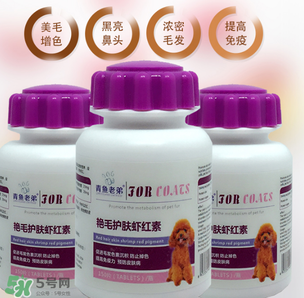 泰迪吃蝦紅素好嗎？蝦紅素的功效與作用