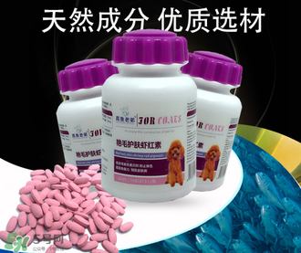 泰迪吃蝦紅素好嗎？蝦紅素的功效與作用