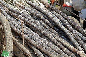 甘蔗皮有什么藥用功效？甘蔗皮的功效與作用