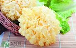 銀耳沒熟可以吃嗎?銀耳沒熟吃了會(huì)中毒嗎 銀耳沒熟可以吃嗎?銀耳沒熟吃了會(huì)中毒嗎