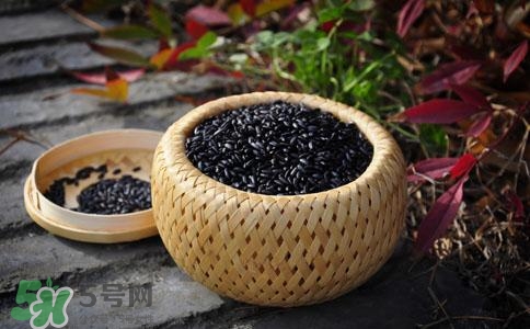 孕婦能吃黑芝麻嗎?孕婦吃黑芝麻有什么好處 孕婦能吃黑芝麻嗎?孕婦吃黑芝麻有什么好處