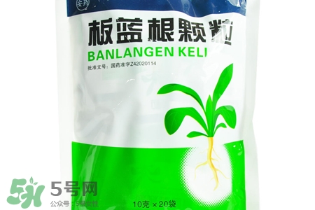 冬天喝板藍(lán)根好嗎？板藍(lán)根的功效與作用