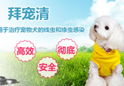 拜寵清要怎么喂？拜寵清驅(qū)蟲藥說(shuō)明書