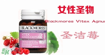 圣潔莓月經(jīng)期間可以吃嗎？圣潔莓不適人群