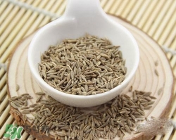 小茴香是孜然嗎？小茴香和孜然的區(qū)別