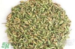 小茴香來月經(jīng)可以吃嗎？來月經(jīng)可以吃小茴香嗎？