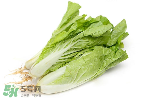 小白菜的根可以吃嗎?小白菜根的功效與作用 小白菜的根可以吃嗎?小白菜根的功效與作用