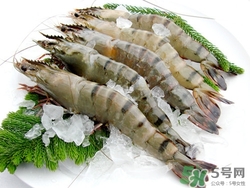 草蝦是什么蝦?草蝦怎么做好吃 草蝦是什么蝦?草蝦怎么做好吃