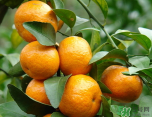 小橘子上火嗎？小橘子吃多了會上火嗎？