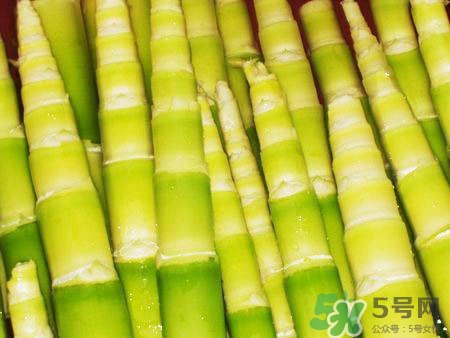 胃病能吃竹筍嗎?胃病吃竹筍好嗎 胃病能吃竹筍嗎?胃病吃竹筍好嗎