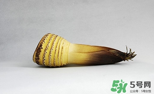 膽結(jié)石可以吃竹筍嗎?膽結(jié)石吃竹筍好嗎 膽結(jié)石可以吃竹筍嗎?膽結(jié)石吃竹筍好嗎