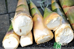 膽結(jié)石可以吃竹筍嗎?膽結(jié)石吃竹筍好嗎 膽結(jié)石可以吃竹筍嗎?膽結(jié)石吃竹筍好嗎