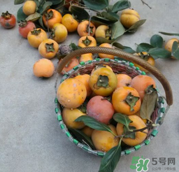 柿子長白點還能吃嗎？柿子上有白點能吃嗎？