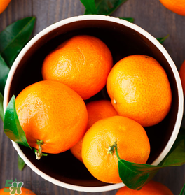 新鮮的桔子怎么保存？新鮮桔子儲存方法