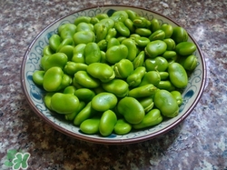 蠶豆和雞蛋能一起吃嗎?一起怎么吃好呢 蠶豆和雞蛋能一起吃嗎?一起怎么吃好呢