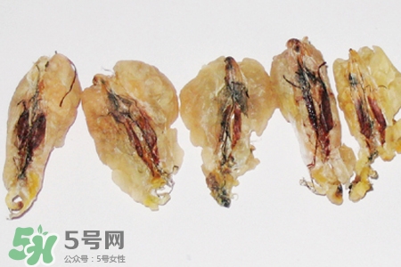 林蛙油是什么？林蛙油的功效與作用