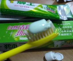 lion獅王是什么牌子？獅王是哪個國家的什么檔次？