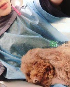 產(chǎn)后怎么護理頭發(fā)？生寶寶后頭發(fā)怎么護理