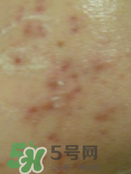 碧柔卸妝乳怎么用？碧柔卸妝乳使用方法