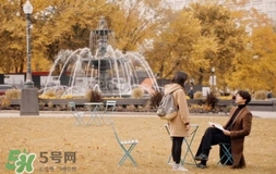 也許星星會帶走你的悲傷多少錢？也許星星會帶走你的悲傷價格