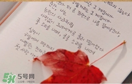 也許星星會帶走你的悲傷多少錢？也許星星會帶走你的悲傷價格