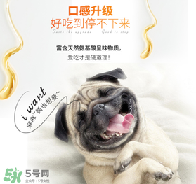 狗狗營養(yǎng)膏什么牌子好？狗狗營養(yǎng)膏多少錢？