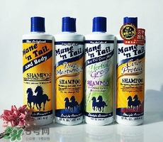 洗發(fā)水什么牌子好？洗發(fā)水2017品牌排行榜