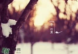 冬至要上墳嗎？冬至為什么要上墳？