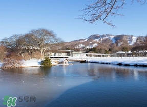 冬至要上墳嗎？冬至為什么要上墳？