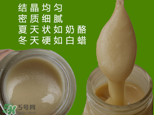 冬蜜是什么蜜？冬蜜的功效與作用