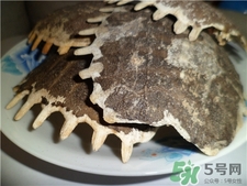 甲魚殼的藥用價(jià)值 甲魚殼的功效與作用 甲魚殼的藥用價(jià)值 甲魚殼的功效與作用