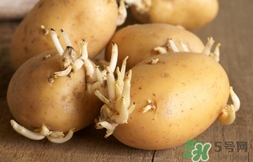 土豆長芽了還能吃嗎?土豆長芽了可以吃嗎? 土豆長芽了還能吃嗎?土豆長芽了可以吃嗎?