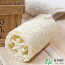 絲瓜絡(luò)可以吃嗎?絲瓜絡(luò)的功效與作用 絲瓜絡(luò)可以吃嗎?絲瓜絡(luò)的功效與作用