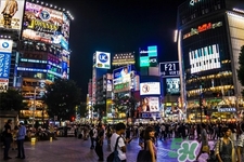 日本藥妝品牌有哪些？2017日本藥妝品牌排名