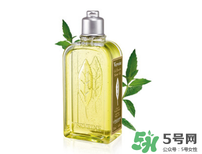 歐舒丹身體乳哪個(gè)好？歐舒丹身體乳哪個(gè)好聞