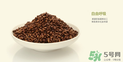 懷孕可以吃決明子嗎?孕婦吃決明子好嗎 懷孕可以吃決明子嗎?孕婦吃決明子好嗎